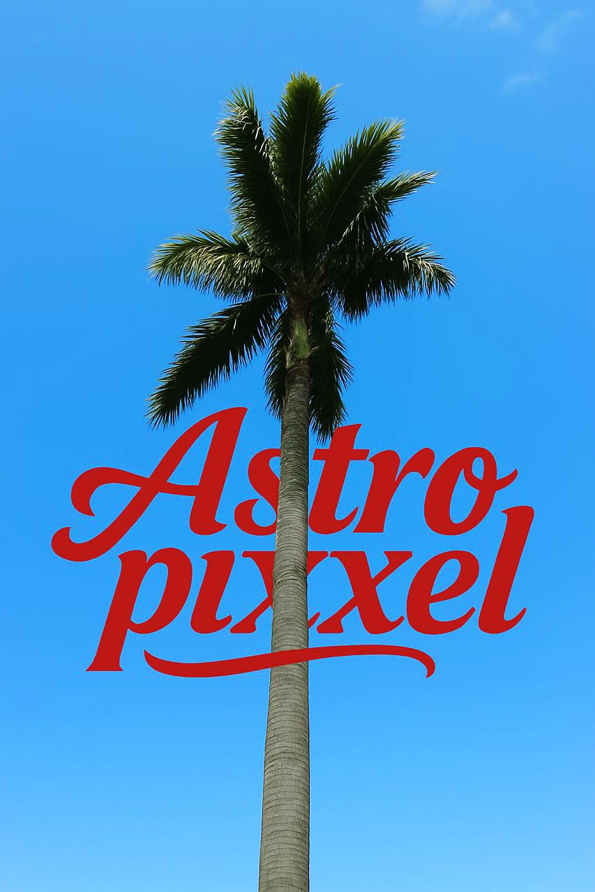 whatsapp image 2025 07 31 at 19.25.42